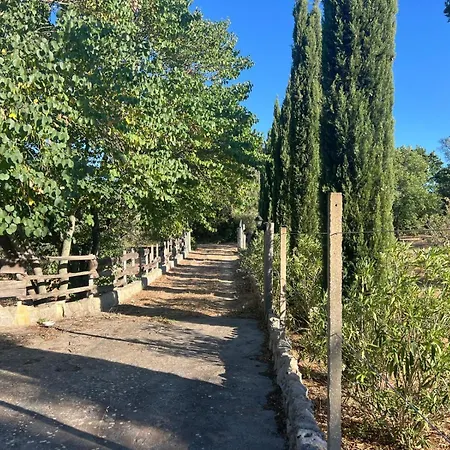 Nathalie Βίλα Ceglie Messapica